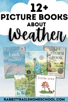 children's books about weather with text overlay that reads, 12 pictures books about weather