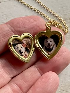 two heart shaped lockes with dogs in them on a gold plated chain hanging from a man's hand