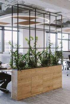 an office with plants in the middle of it