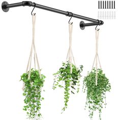 three hanging plants are attached to the side of a wall with black metal brackets and white fabric