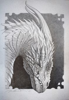 a black and white drawing of a dragon with its head turned to the side, in front of a dark background