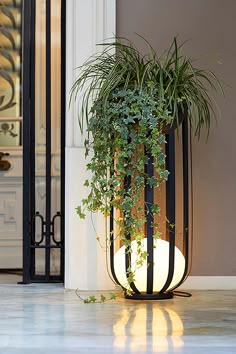 a potted plant sitting on top of a white floor next to a door way