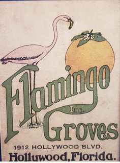 a sign for flamingo groves in hollywood, florida with an image of a bird on it