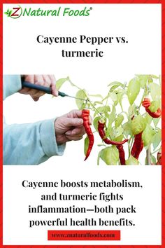 Cayenne pepper boosts metabolism and circulation, while turmeric reduces inflammation and supports joint health. Both offer unique benefits for overall wellness.
#health #food #boost #pepper Turkey Tail Mushroom, Turmeric Oil, Poor Circulation, Western Medicine, Organic Turmeric, Turmeric Root, Which Is Better, Cayenne Pepper, Cayenne Peppers