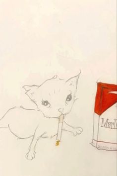 a drawing of a cat next to a carton of marlboros on a white background