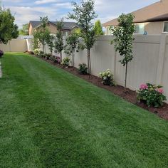 a yard with green grass and flowers in the middle, next to a white fence