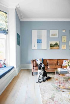 a dog sitting on the floor in front of a living room with blue walls and furniture