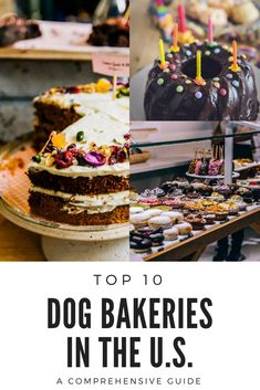 the top 10 dog bakeries in the u s, including cakes and cupcakes