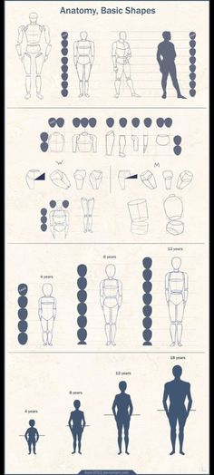 an info sheet showing the different types of body shapes