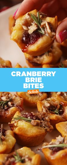 cranberry brie bites on a white plate with blue text that reads, cranberry brie bites