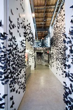 an art gallery with many black and white butterflies on the walls, hanging from the ceiling