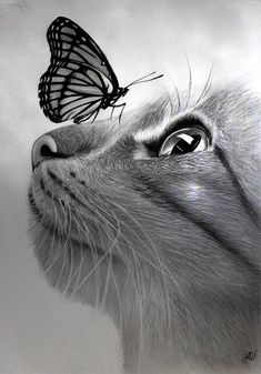 a black and white photo of a cat with a butterfly on it's nose