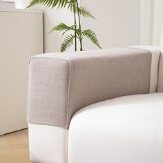 a white couch sitting next to a plant in a living room