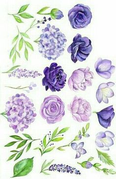 watercolor flowers and leaves are shown in purples, lavenders, and green