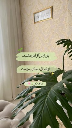 a plant with green leaves in front of a wallpapered background and arabic writing on it