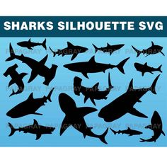 sharks silhouettes svg files