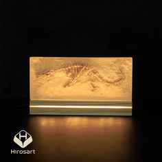 an illuminated box with a lizard on it