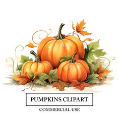 pumpkins clipart commercial use