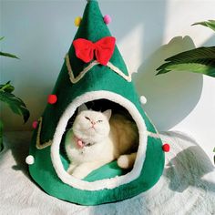 a white cat is sitting in a green christmas tree shaped bed with a bow on it's head