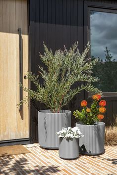 two grey planters with flowers in them on a wooden floor next to a door