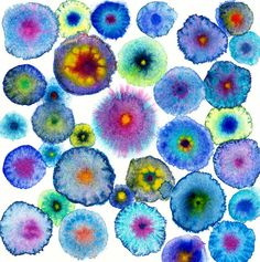 an image of watercolor flowers on a computer screen