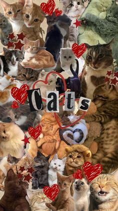 a collage of cats with hearts and the word cats written in it's center