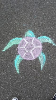 someone is standing on the sidewalk with their feet in front of a chalk drawing of a turtle