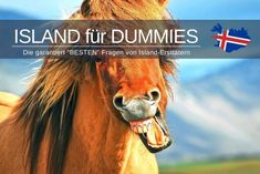 a brown horse with it's mouth open and the words island fur dummies