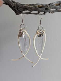 a pair of earrings is hanging from a branch