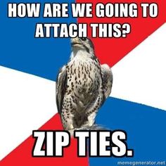 a hawk sitting on top of a red, white and blue striped background that says how are we going to attach this? zip ties