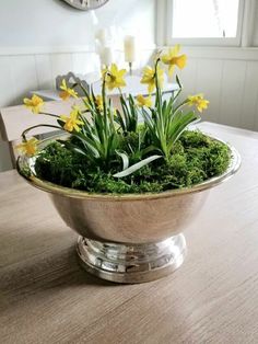 a wooden table topped with a metal bowl filled with green moss and yellow daffodils