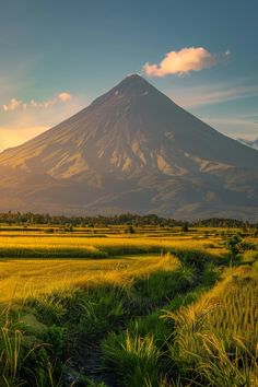 the sun is setting behind a mountain with green grass and trees in front of it