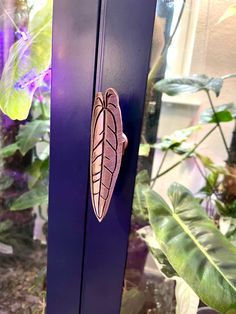 a close up of a purple door with a plant in the background