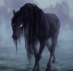 a black horse with long hair walking through the water on a foggy day by itself