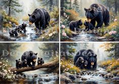 four pictures of bears and their cubs in the woods by a stream, with flowers