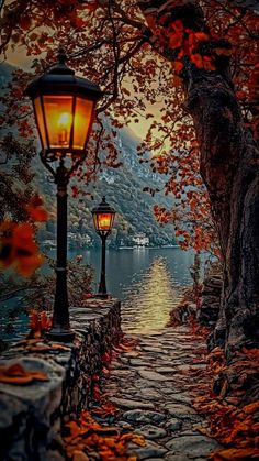 a street light sitting on the side of a stone road next to a tree filled with leaves