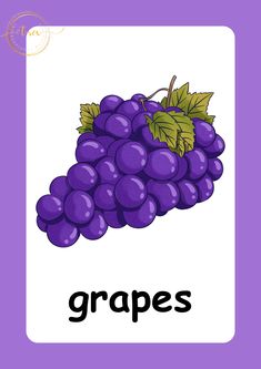 a purple poster with grapes on it and the word grapes in black letters above them