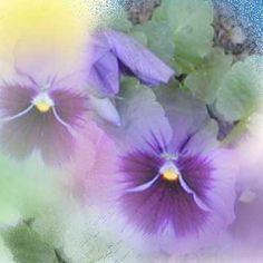 two purple flowers sitting next to each other on a blue and green tablecloth with leaves