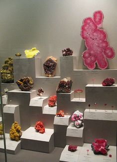 Rock Museum, Smithsonian Museum, Moroccan Art, Crystal Display, Geology Rocks, Rock Minerals, Collection Display