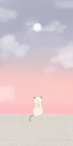 a white cat sitting on top of a tiled floor next to a pink and blue sky