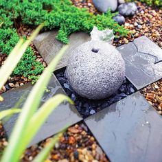 a garden with rocks and plants on the ground