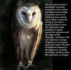 an owl sitting on top of a wooden table next to a quote from the lord