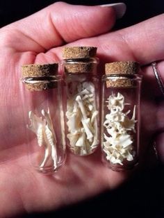 three glass bottles filled with small white items in their palm's thumbnails