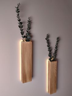 two wooden vases with plants in them on the wall