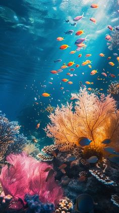 an underwater view of corals and fish in the ocean with sunlight coming through the water