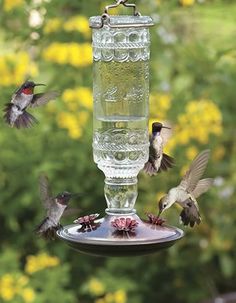 several hummingbirds are flying around a bird feeder