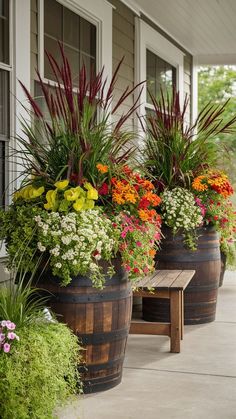 three large wooden barrels filled with flowers and plants