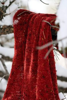 a red knitted scarf hanging from a tree branch in the snow, with needles sticking out of it