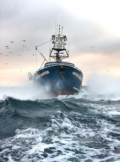 a boat in the ocean with seagulls flying around