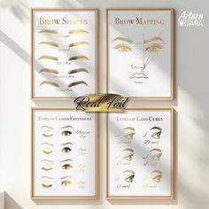 three framed pictures with different types of eyeliners and brow shapes on the wall